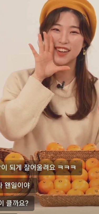 감귤 라이브를 진행하는 조설영